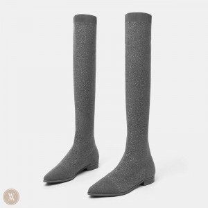 Dámské Boty VIVAIA Pointed-Toe Over-the-Knee Michaelia Šedé | FXZ-0706