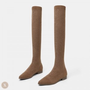 Dámské Boty VIVAIA Pointed-Toe Over-the-Knee Michaelia Hnědé | UUB-6401